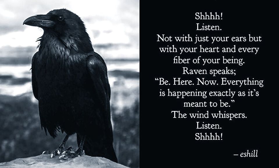 the-raven-speaks