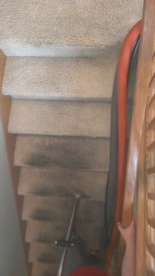 Carpet cleaning in La Crosse, Onalaska, West Salem and Holmen WI D
