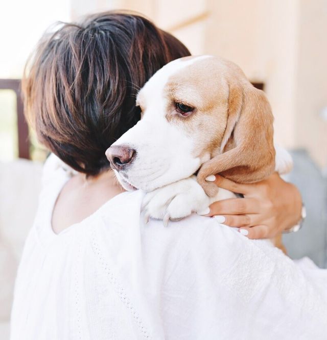 compassionate pet cremation