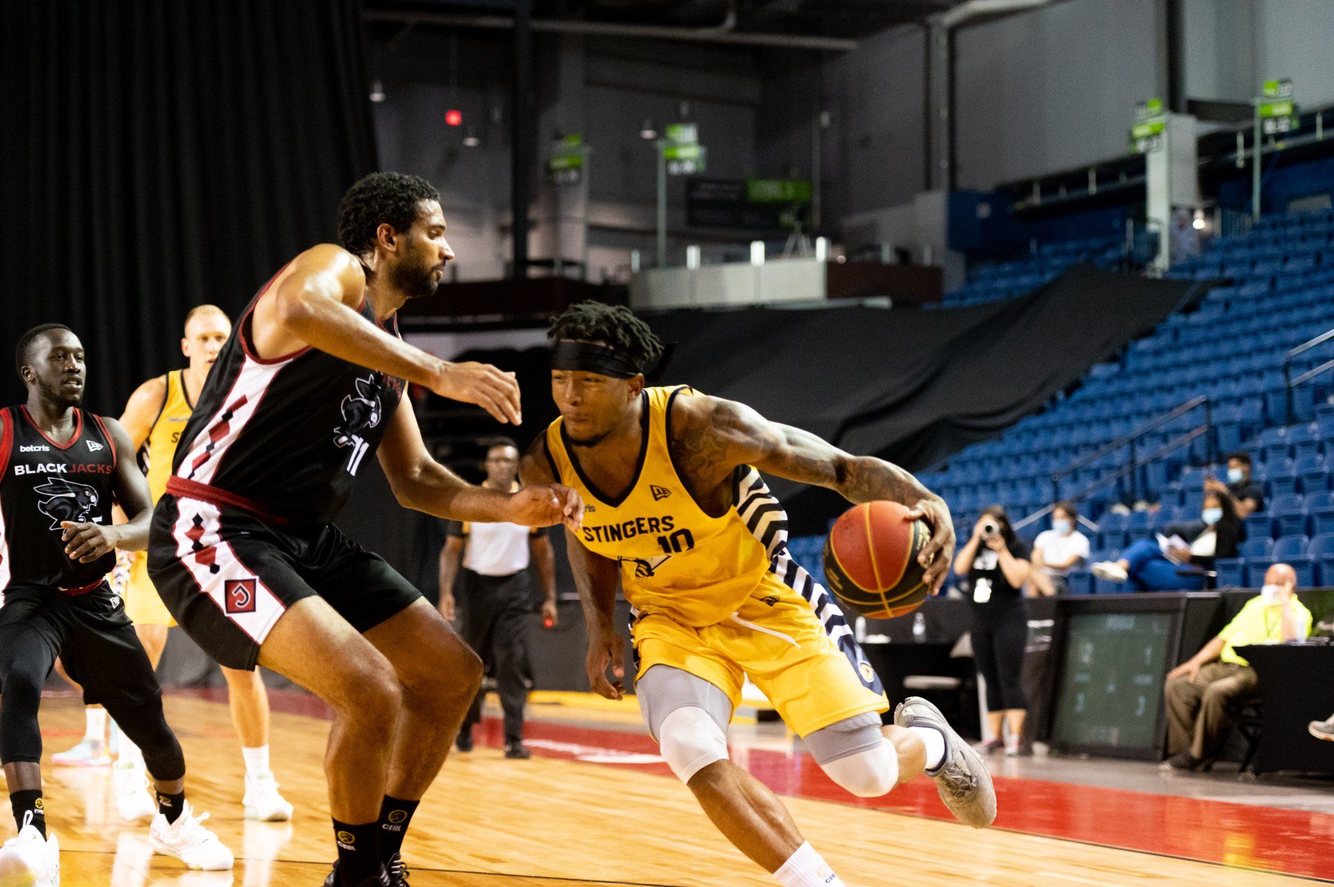 Edmonton Stingers  Canadian Professional Basketball Team