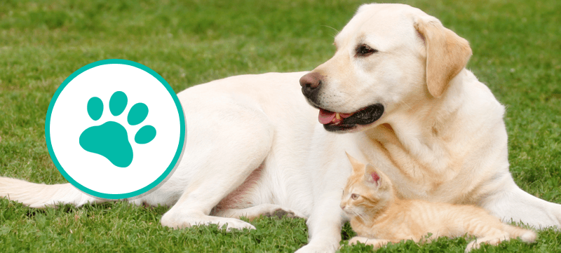 Treated with love and care 