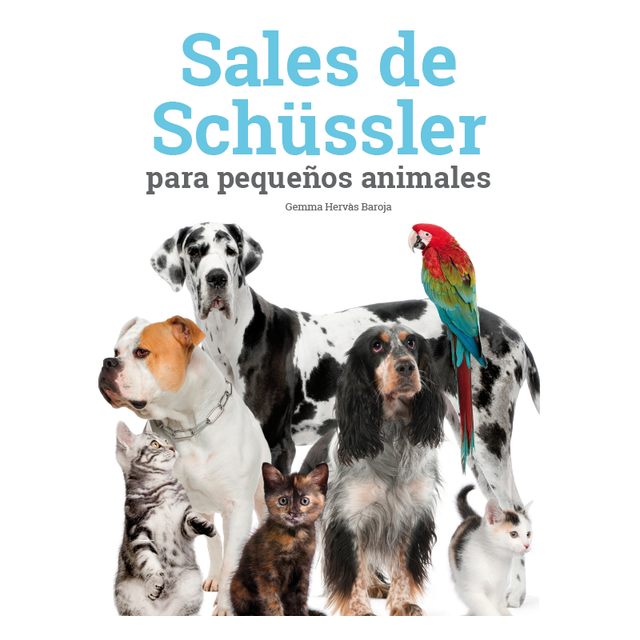 enfermedades+ams+frecuentes+musculares+y+articulares+en+animales