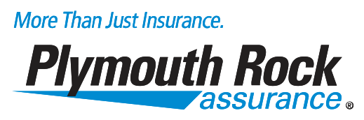 Affordable Insurance York County, Pennsylvania Feeser