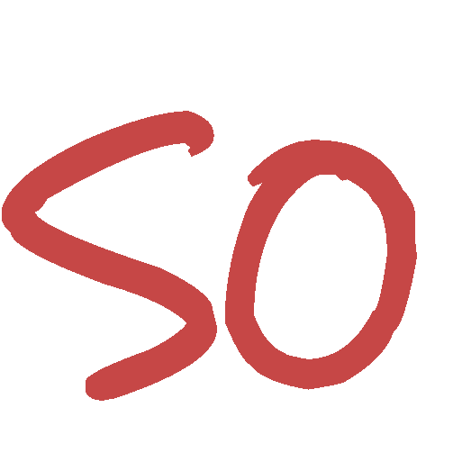 So natural cosmetics logo