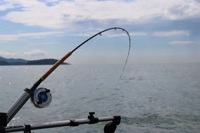 deep sea fishing gear