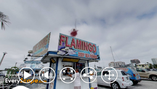 Flamingo Deep Sea Fishing | Fort Lauderdale, Florida