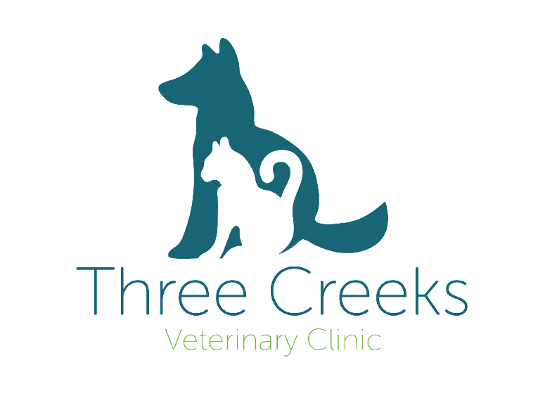 Vancouver, WA | Companion Pet Clinic