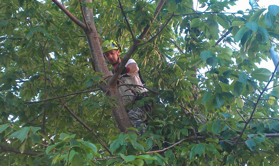 manutenzione giardini pubblici Savona