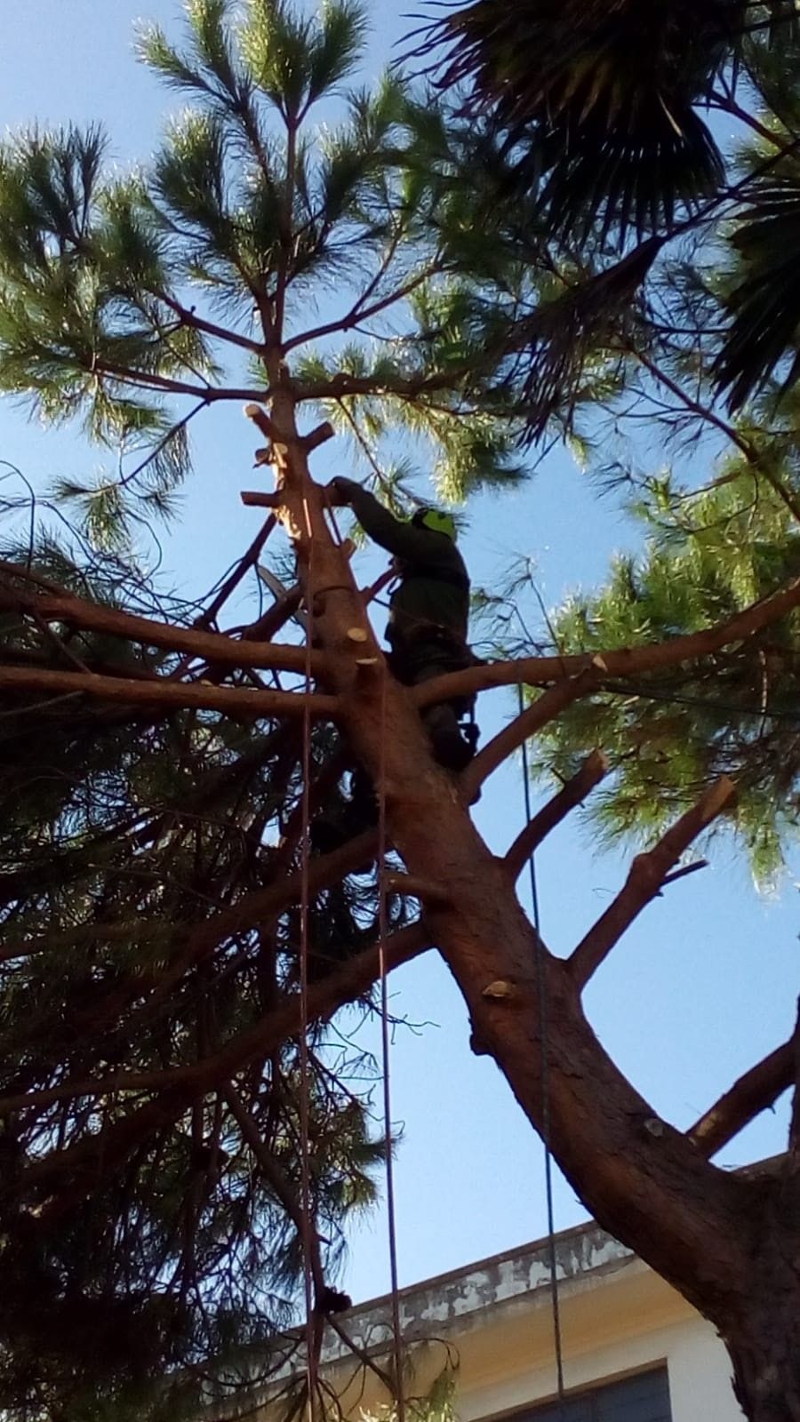 lavori di recupero ambientale Savona