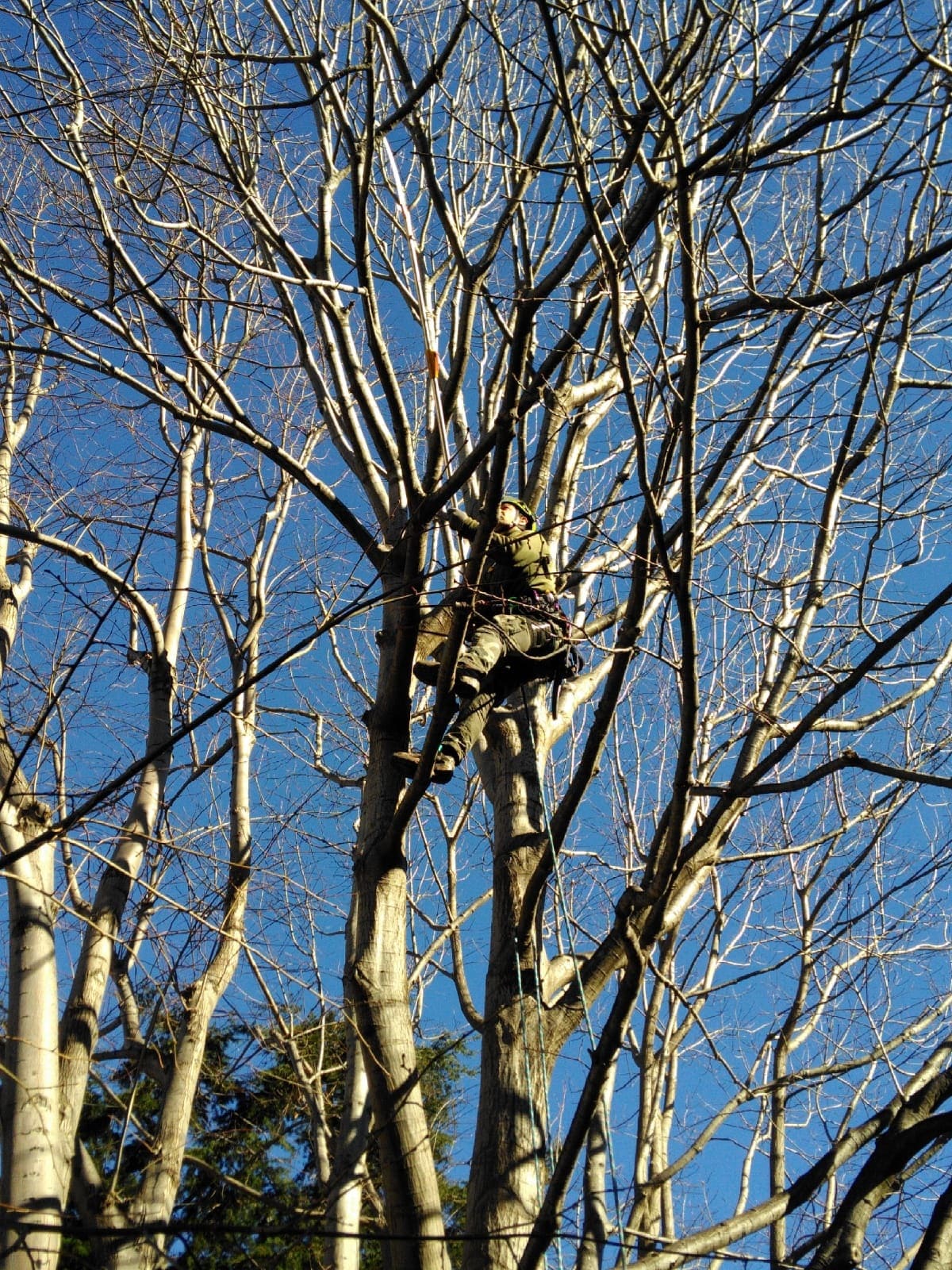 avori di giardinaggio e di recupero ambientale