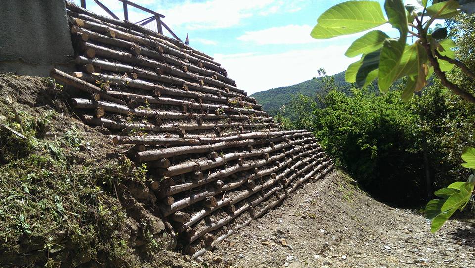 manutenzione aree verdi Savona