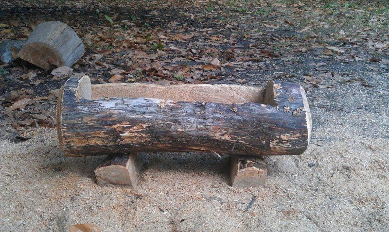 fioriera da tronco di un albero