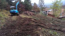 lavoro di arboricoltura