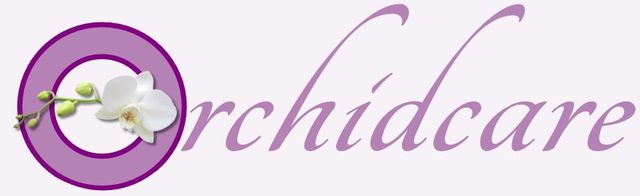 Home Care Agencies Enfield