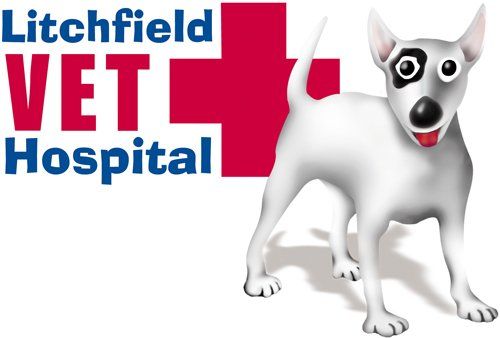Veterinary Services Coolalinga Litchfield Veterinary Hospital