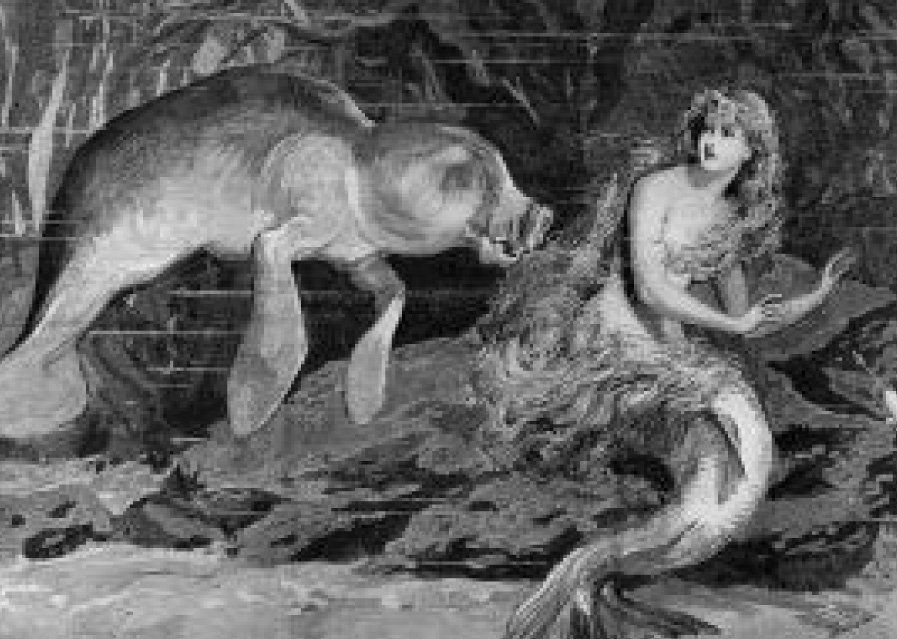 Mermaid Myths Legends