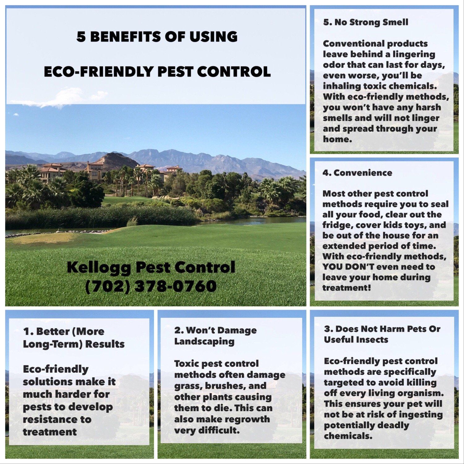 5 Benefits Of Using Eco-Friendly Pest Control