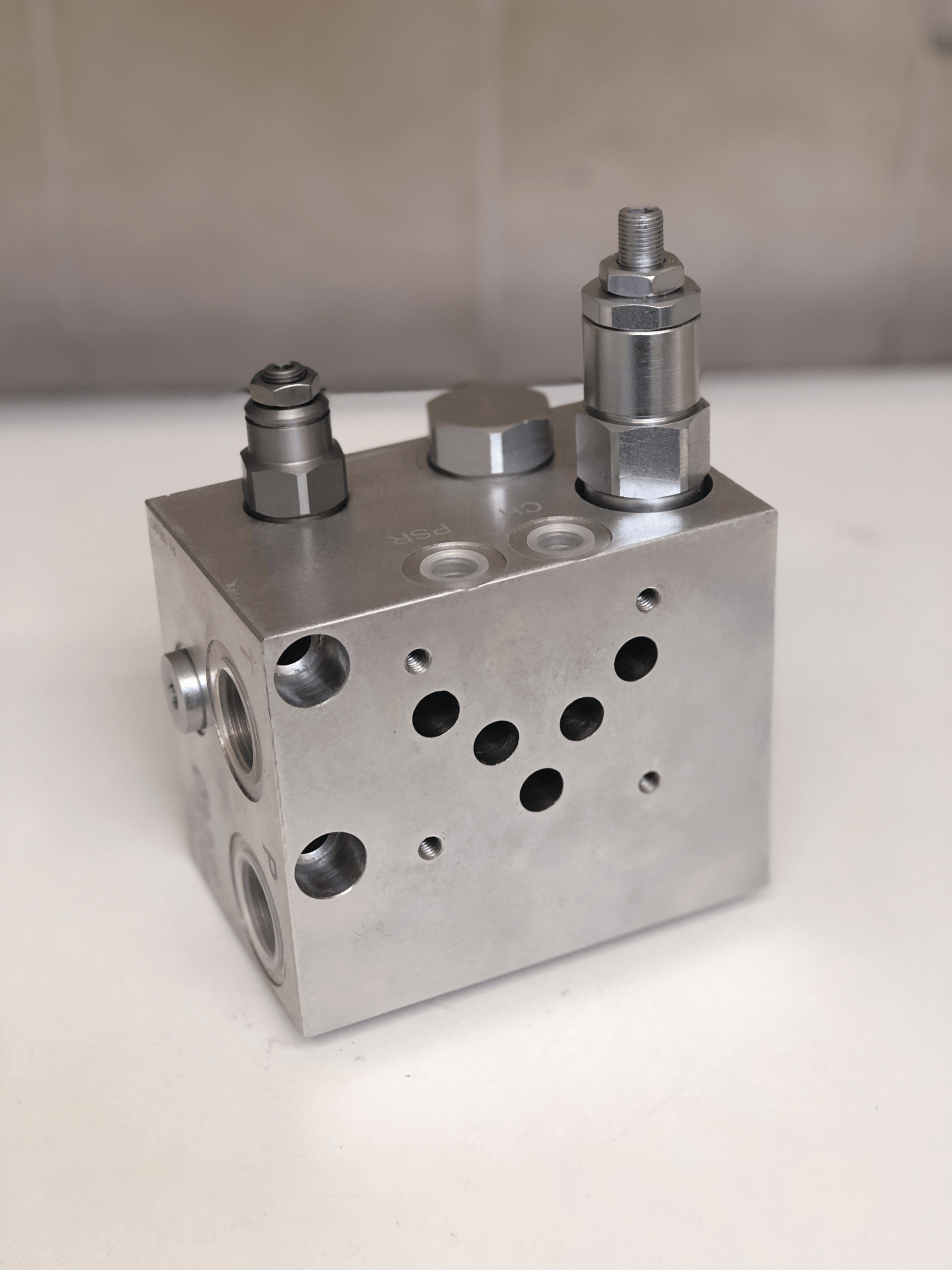 Custom Manifolds & Valve Assemblies