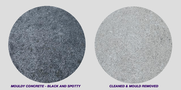 Mouldy Concrete before and Clean Concrete After.