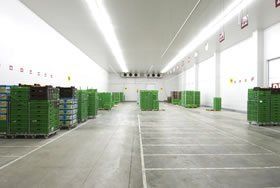 Pressure cleaning of cool room ceilings and walls. Soft pressure washing of cool room refrigeration units and floors.