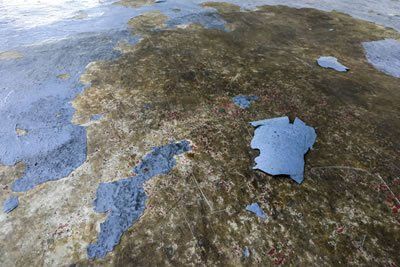 Pressure cleaning of outdoor furniture, pots, garden walls, fountains and more will rejuvenate the outdoors of your property.