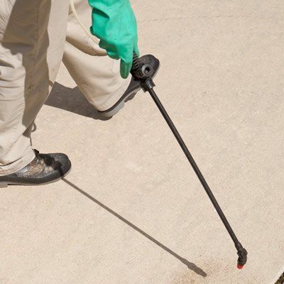 The Jetclean Difference: Professional mould removal agent applied as part of our paver cleaning assignments.