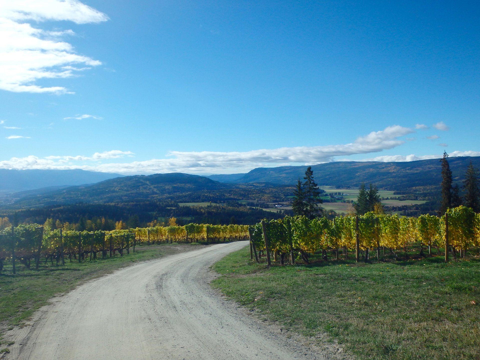 Larch Hills Winery Gallery