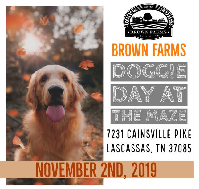 Dog Friendly Events This November In Nashville And Middle Tn