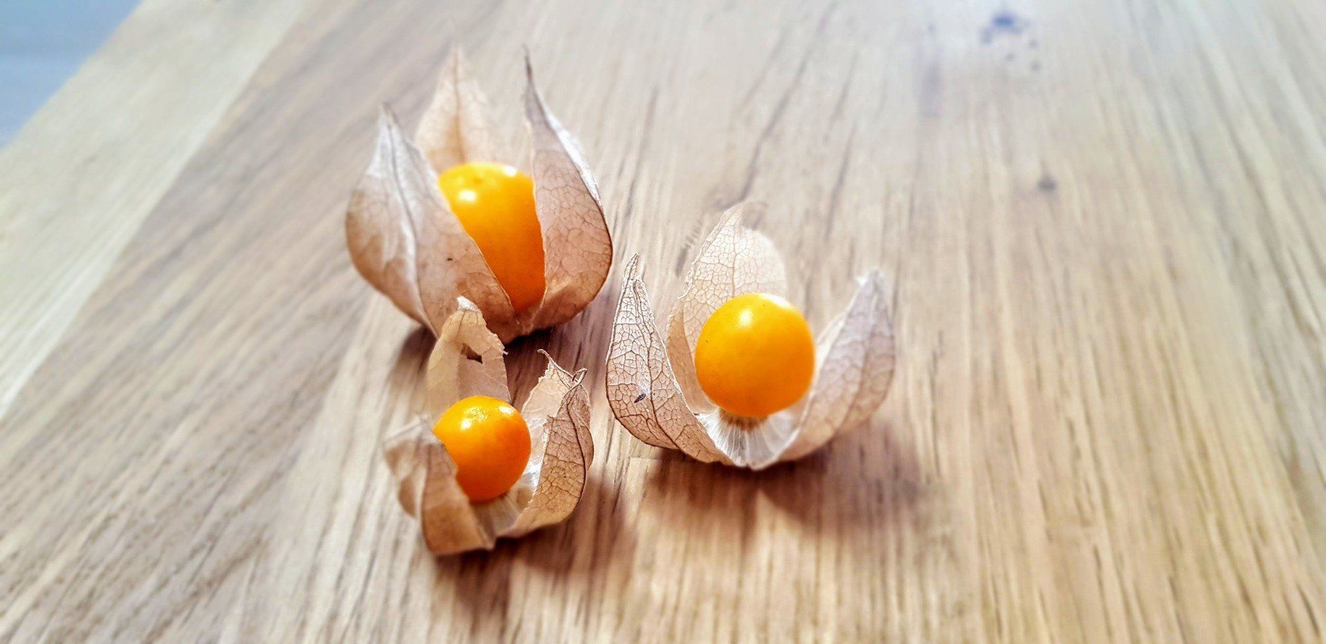 Benefícios das physalis