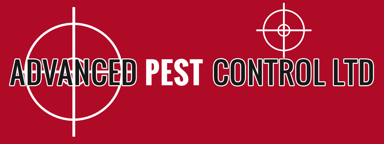 pest control companies