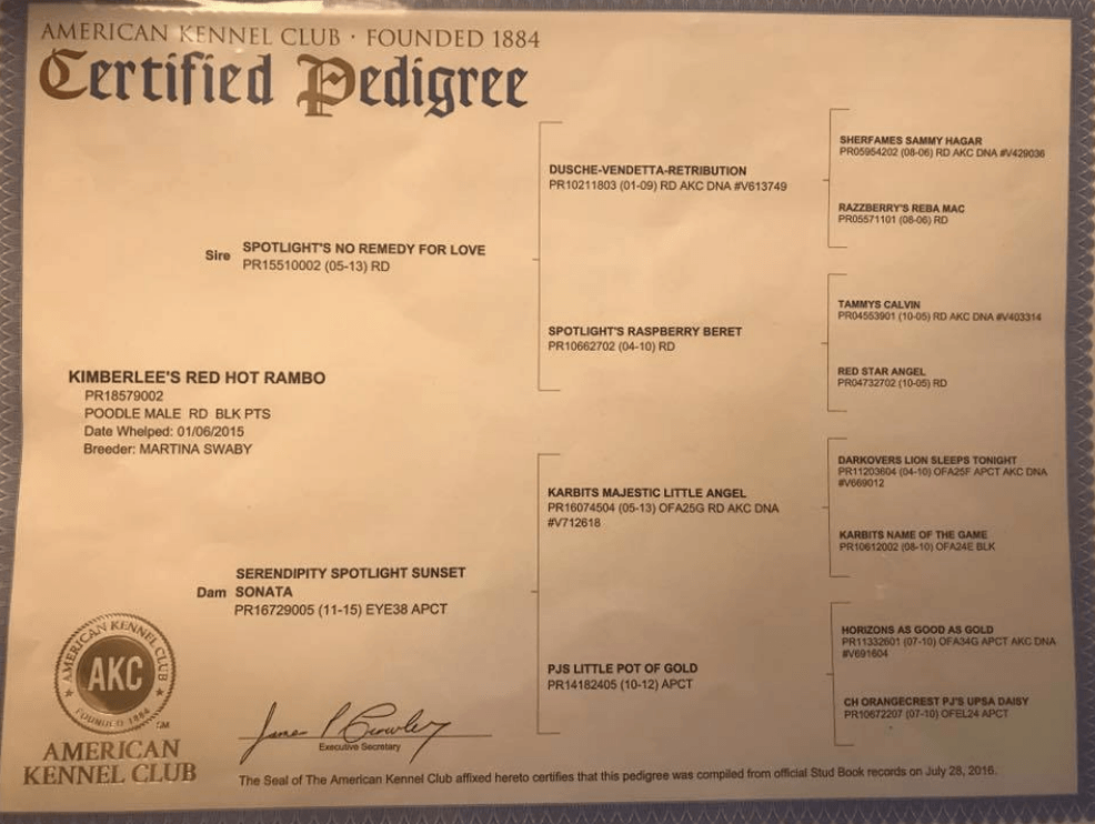 akc kennel inspection checklist