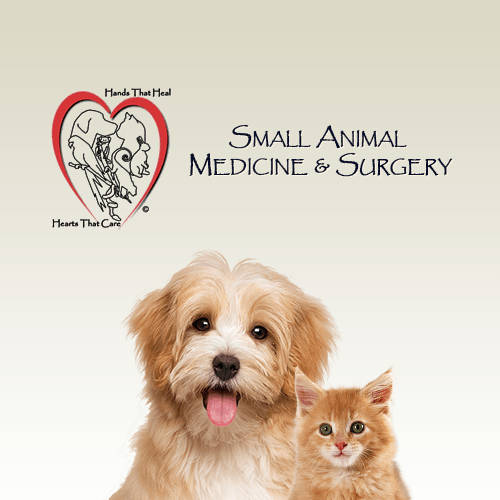 dr sharp pet hospital