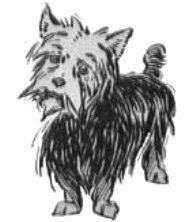 famous yorkshire terriers