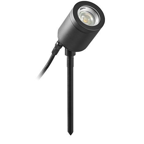 Spike Spot Adjustable