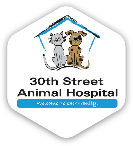 vet clinic in east indianapolis lawrence area of indianapolis in animal hospital vet clinic in east indianapolis