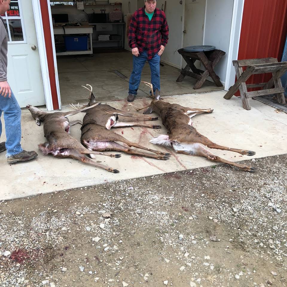 Deer Processing | West Harrison, IN | White Tail Deer Processing