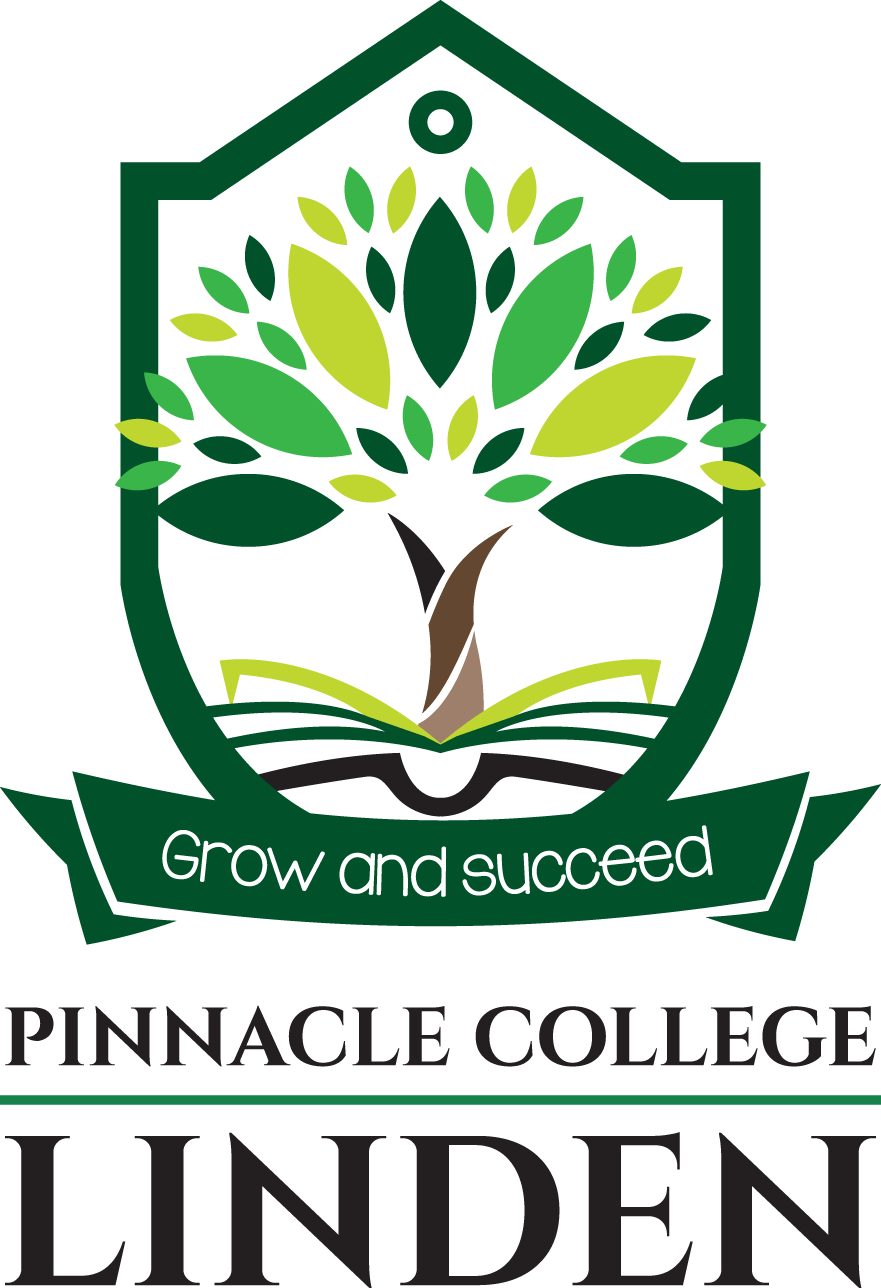 Pinnacle College Linden School in Linden