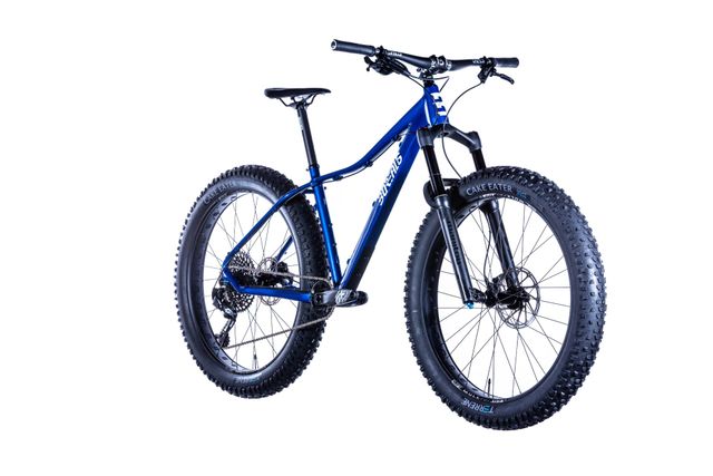 academy fat tire bike