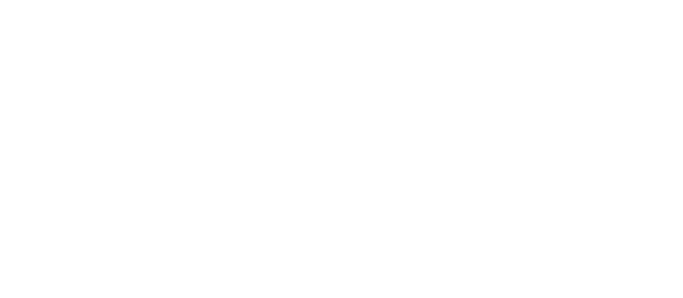 Kingdom Leader