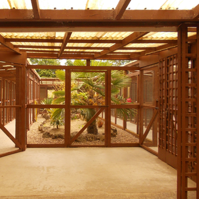 indoor cattery near me