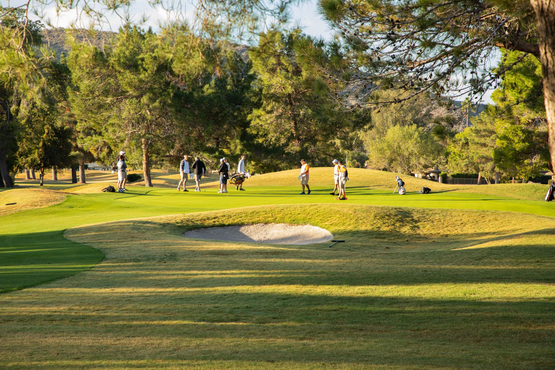 gallery | moon valley country club | phoenix, az