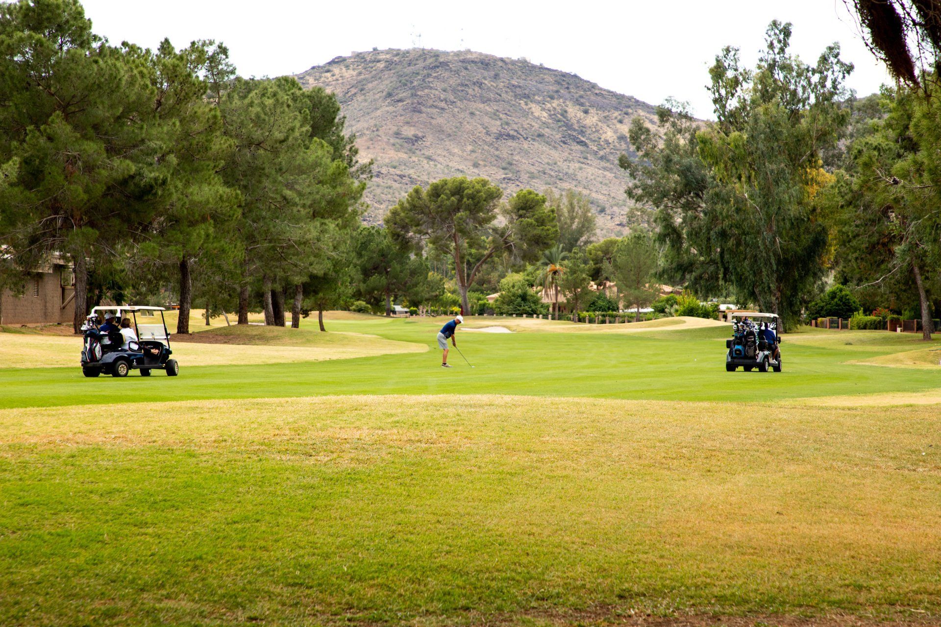 gallery | moon valley country club | phoenix, az