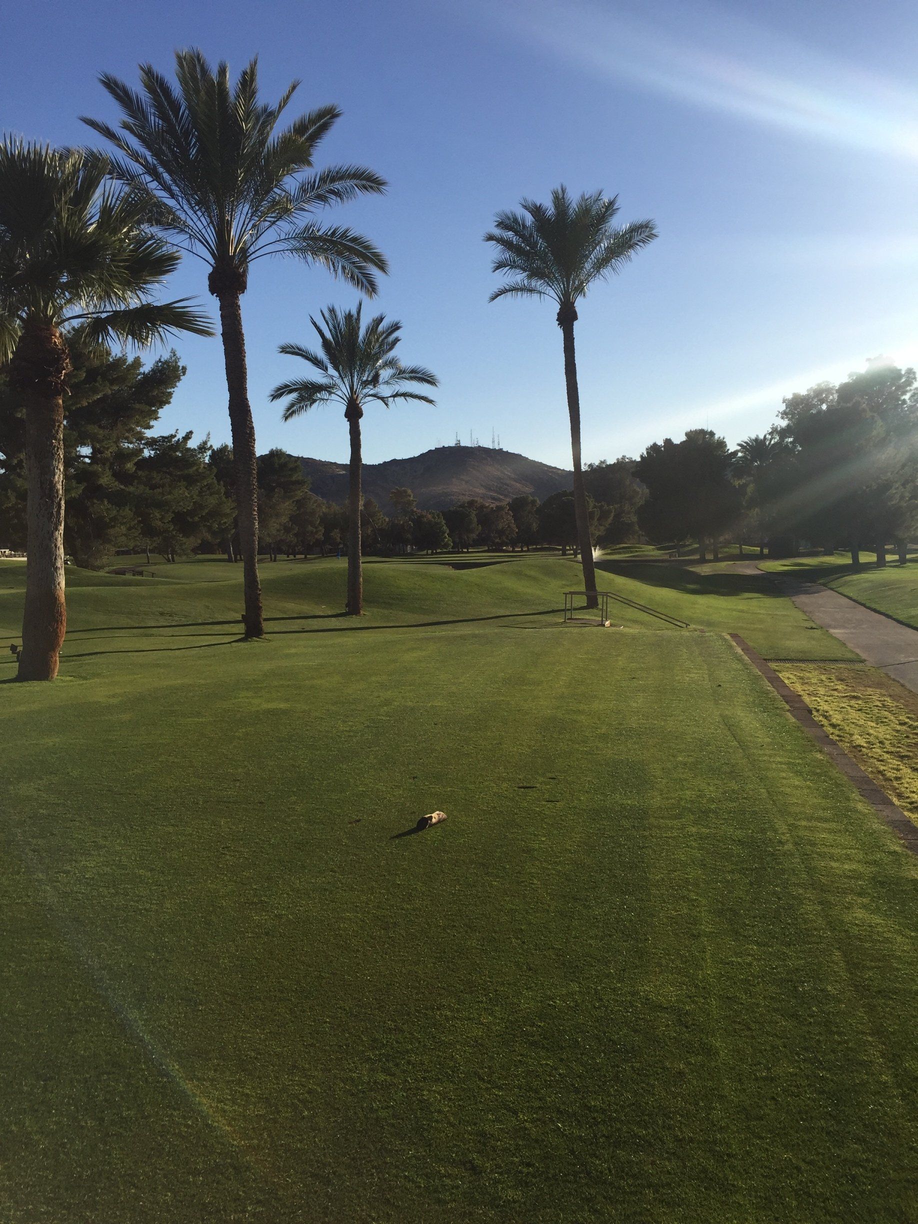 gallery | moon valley country club | phoenix, az