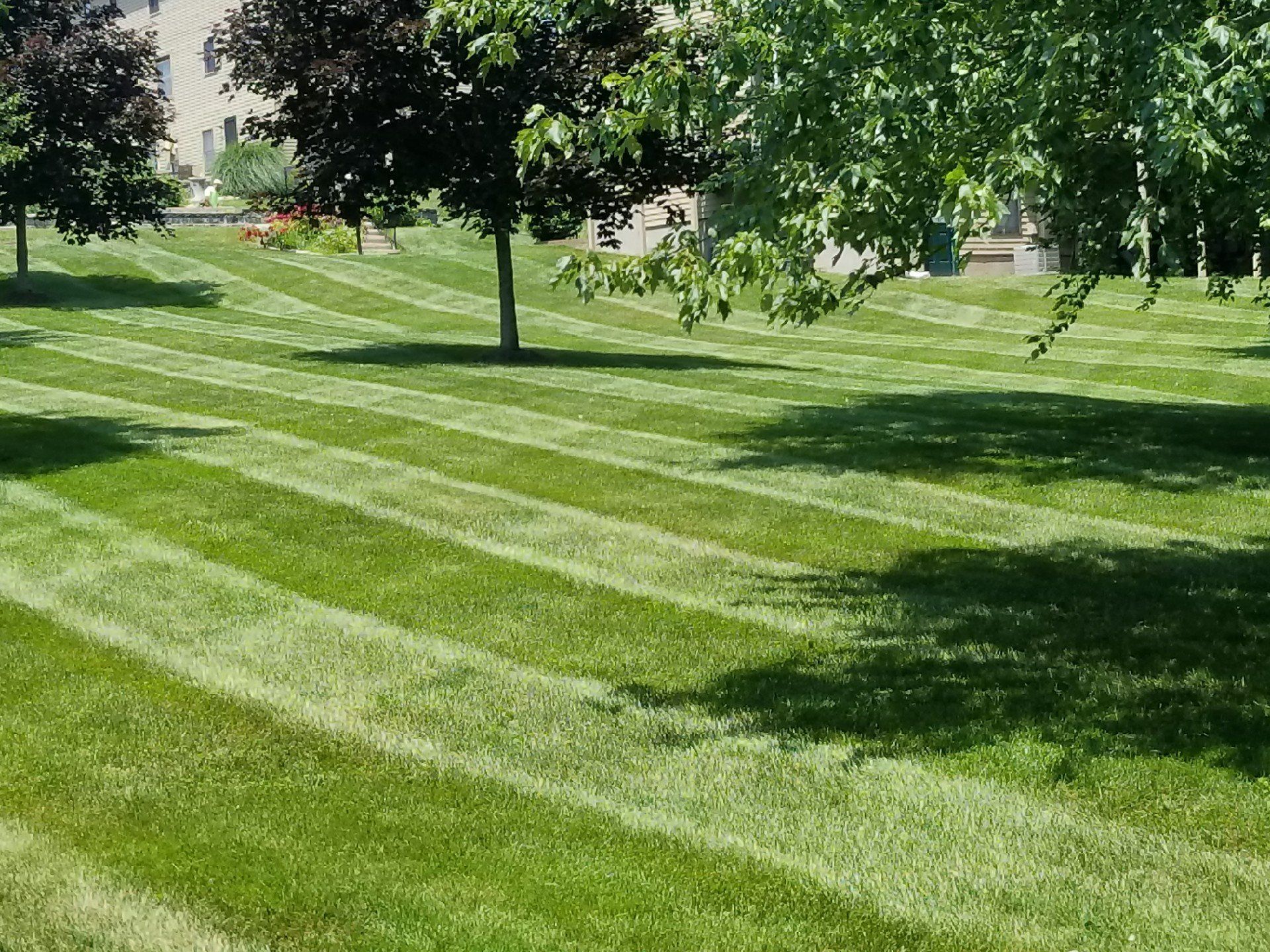 Clean Cut Landscaping CT | Landscaping Connecticut