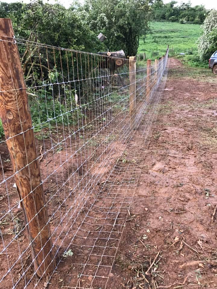 JC Countryside Services Predator Fencing