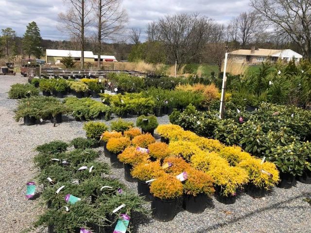 Lehigh Valley Home & Garden Center Inc : Spring Garden Children S