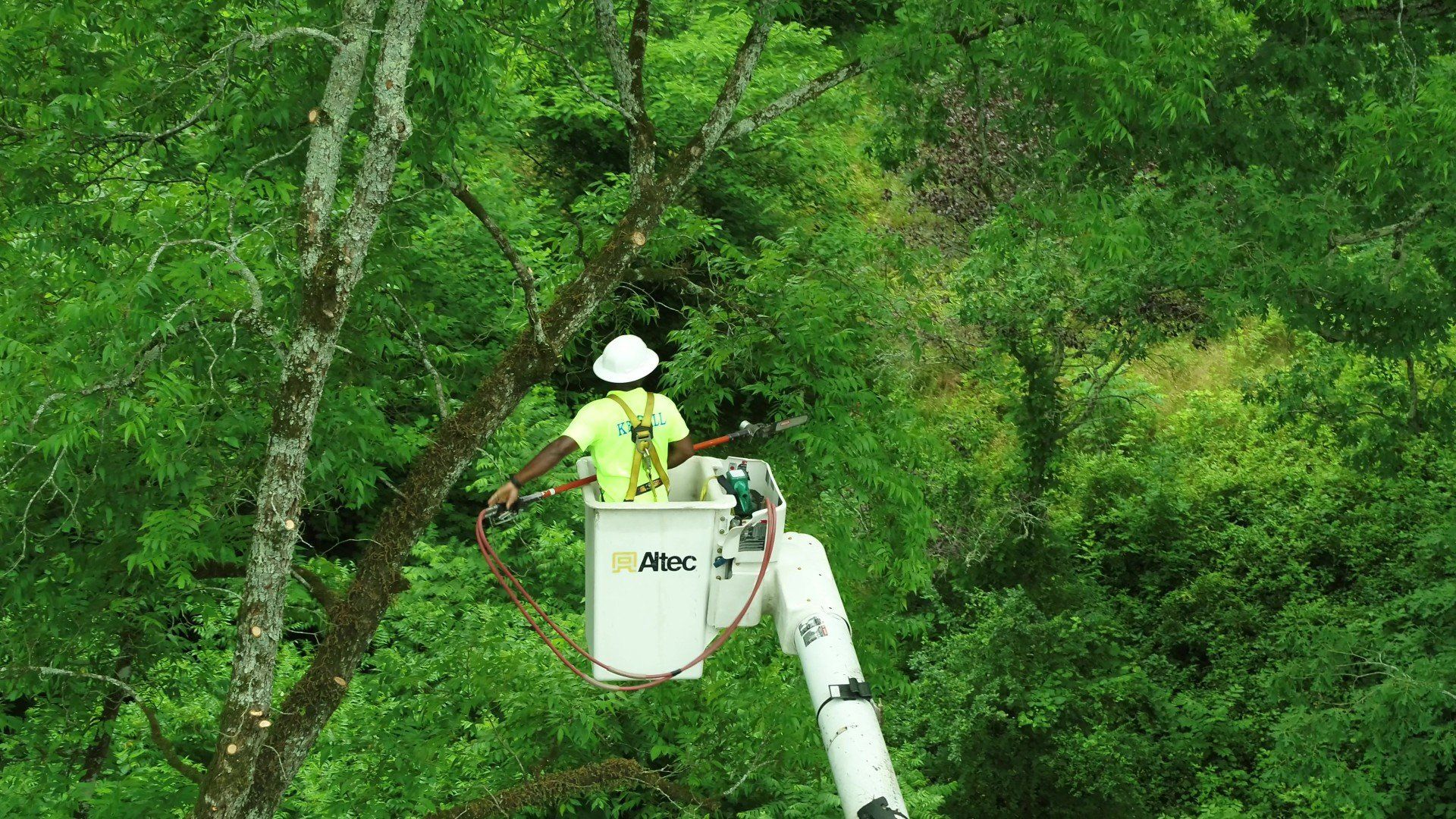 Kendall Vegetation Services Locations at Jennifer Gomez blog