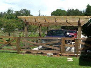 Why Wood Pergolas Are The Best Choice For Your Home
