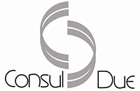 CONSUL DUE-LOGO