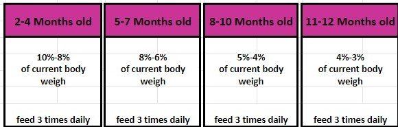 Transitioning To Raw Dog Food Lada S Raw And Natural Dog Food